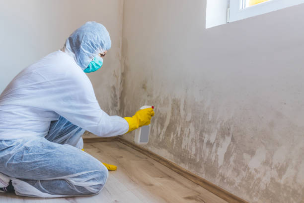 Licensed Mold Testing service in Richfield, PA - WQB Mold Removal