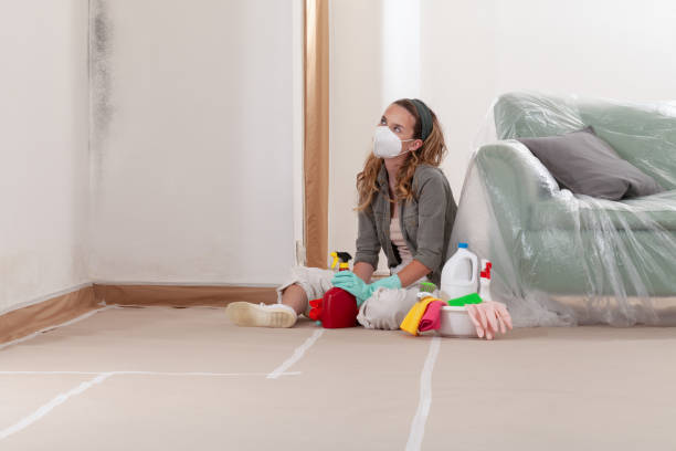 Reliable Mold Testing contractor in Richfield, PA by WQB Mold Removal