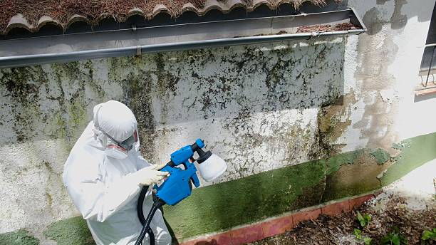 Top rated local Mold Testing specialists in Richfield, PA